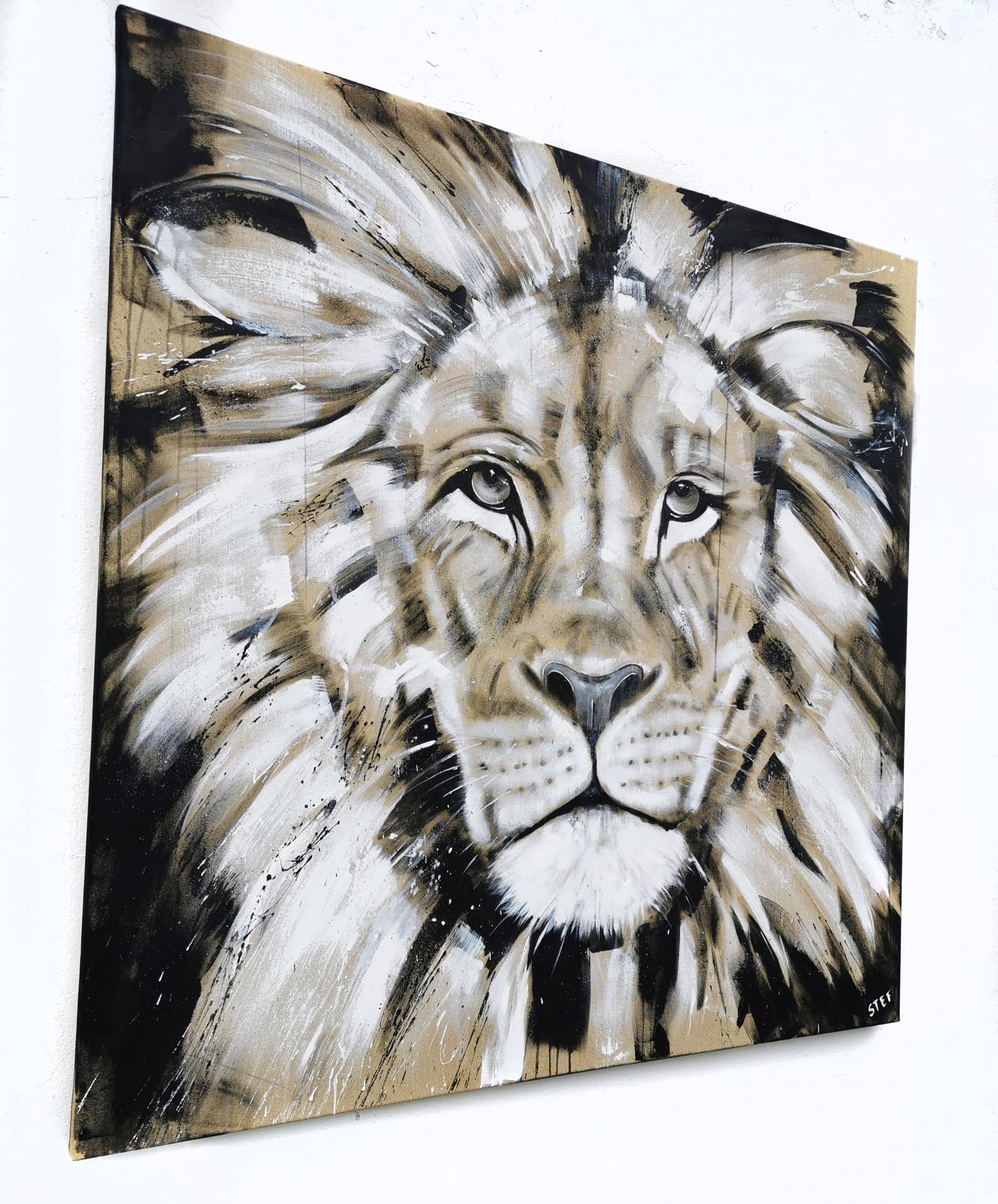 - | Weiß Shop Schwarz #19 Kunst im Leinwandbild Löwe Löwe